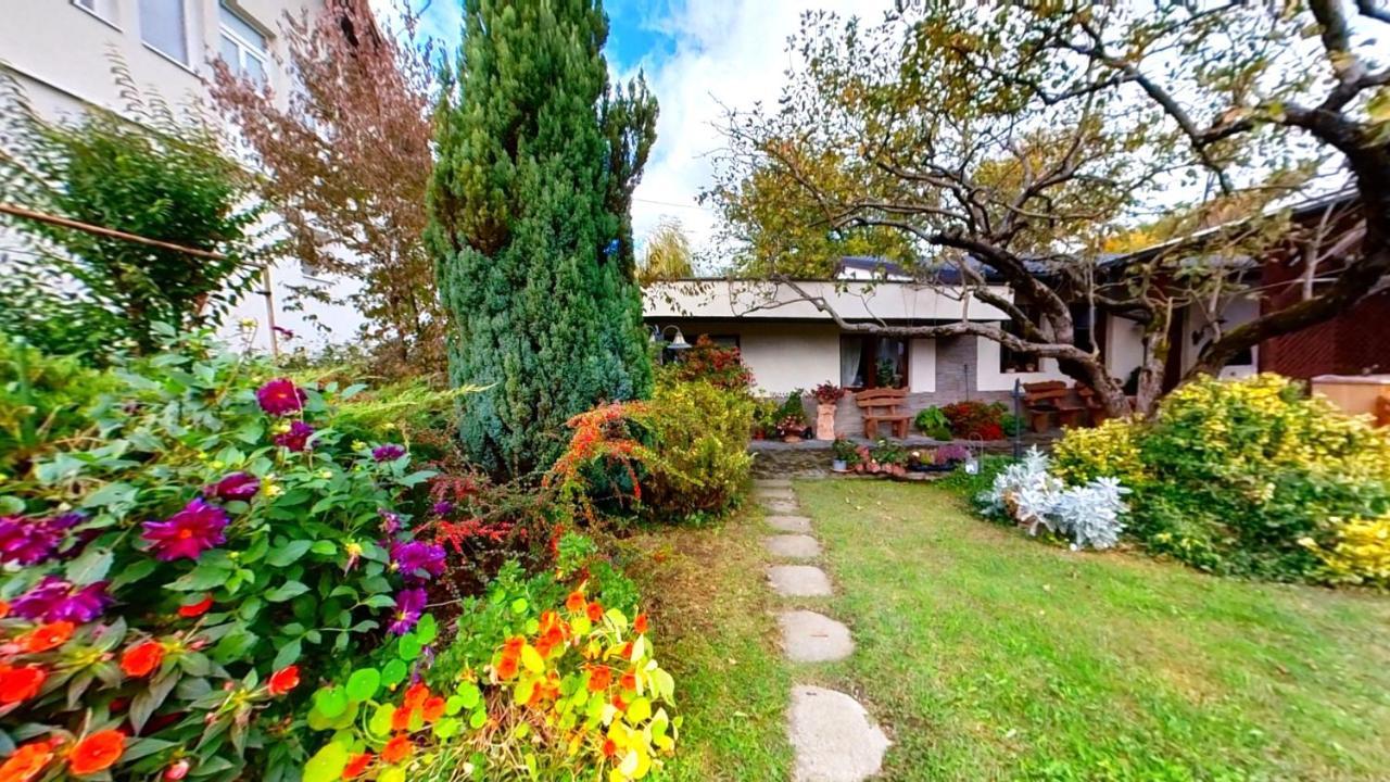"'Nu Ma Uita" Sovata Villa Exteriör bild
