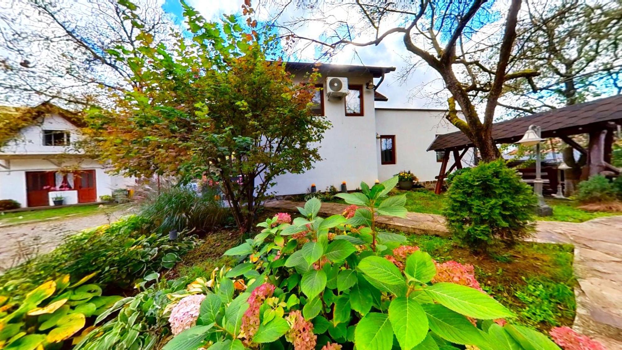 "'Nu Ma Uita" Sovata Villa Exteriör bild